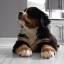 Lance Morrison - @Lance_Morrison - Twitter