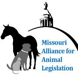 The Missouri Alliance for Animal Legislation, founded in 1990, is a non-profit organization working to bring positive change for animals by legislative means.