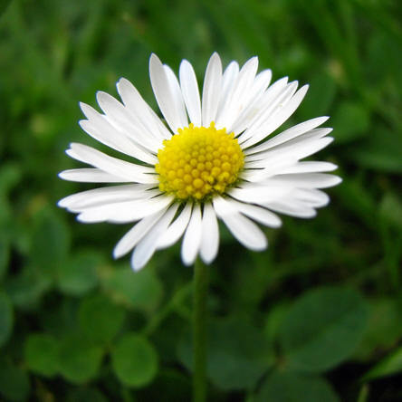 modemissers's profile picture. 