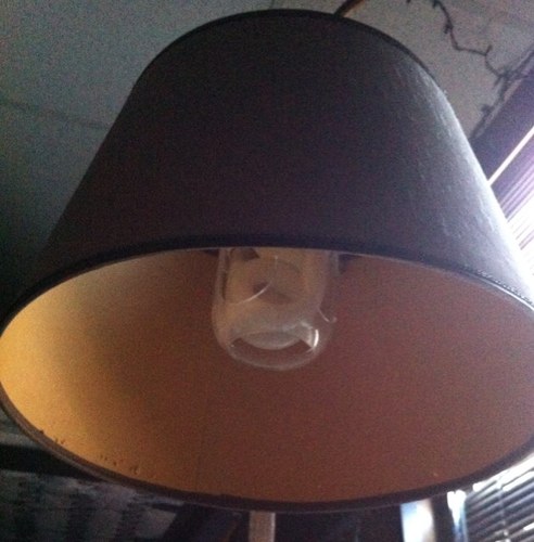 I am a lamp.