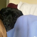 Robert Cairo - @CairoRobert - Twitter