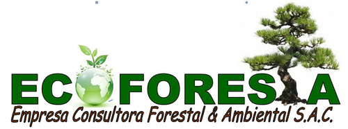 ECOFORESTA S.A.C. es una empresa privada que brinda servicios forestales y ambientales  con responsabilidad social y ambiental.