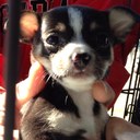 Suzanne Spence - @SuzanneSpence - Twitter