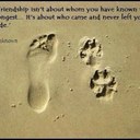 luke rainbow - @rainbow_luke - Twitter