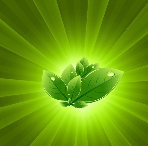 Greener than Green, we put the Eeeek in ecological