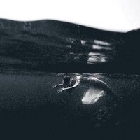 Nouk (@noukje) 's Twitter Profile