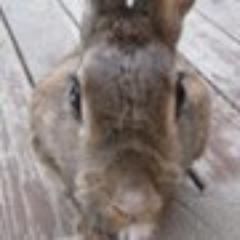 SimonTOsborne's profile picture. Are we having fun yet?