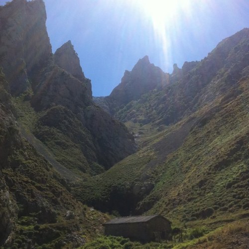 vizujose's profile picture. 