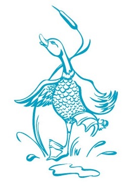 The Dancing Duck - Stylish and original presents for all occasions. http://t.co/xdsi37Yj
