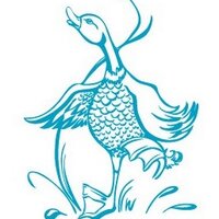 THE DANCING DUCK (@thedancingduck1) 's Twitter Profile