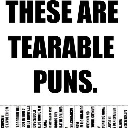 I am a pundit, except not the political kind, just the pun kind. So mostly like a bandit except with puns.