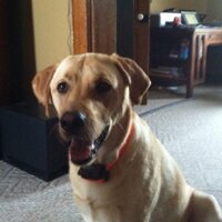 Gabe Helbert (@gabehelbert) 's Twitter Profile