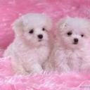 norma plata aparicio - @PlataAparicio - Twitter