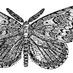Revue Insectes OPIE (@af_insectes) Twitter profile photo