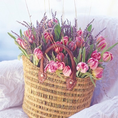 JardinsSansSecr's profile picture. Collection of garden ideas, promenades and plants, and selection of top designers, to inspire all those who wish to enhance and improve their gardens.