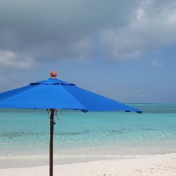 campbellsands's profile picture. 