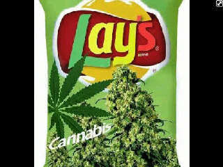 Popo_coocoo's profile picture. The hood