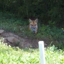 scott cathey - @40rebel - Twitter