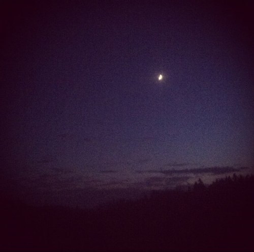 SaliGhalia's profile picture. Wsh wsh, je vais très bien et vous ?