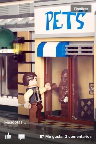 pipetojunior's profile picture. 