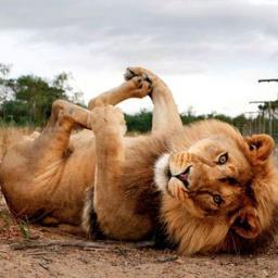 HoorayBethany's profile picture. Nothing to see here.