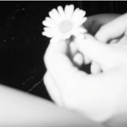 Indie blog/peace/life/nothing/fuck/everything promoting new music,
busy daydreaming and being inoffensive