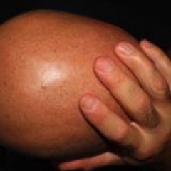 alessandroomini's profile picture. Media-neutral concept creator.
No ideas, no sharing.