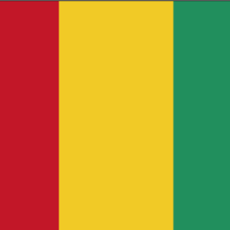 Promouvoir les news et la culture de notre cher et tendre pays: La Guinee! Wontanara!