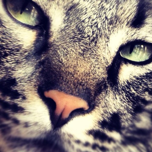 Mfernando74's profile picture. 