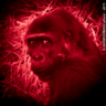 estraviz's profile picture. ɟlǝsɹnoʎ ʎluo sı ʇı 'spuǝq ʇɐɥʇ uoods ǝɥʇ ʇou sı ʇI.
Data Engineer @FrontiersIn #openscience
past @Lookiero_es @StubHub @eBay @Ticketbis