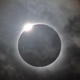 tomv80's profile picture. musician and blogger