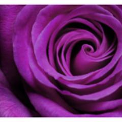 gillyjane59's profile picture. 