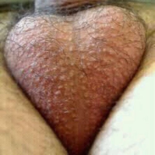 Het leven is gwn kut