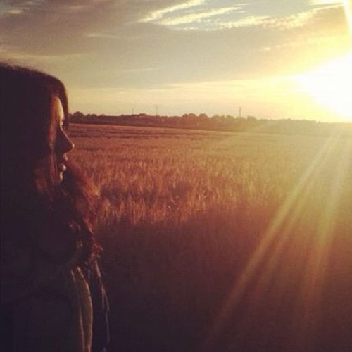 nalbaijan's profile picture. 