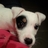 nicola_hiscox's profile image