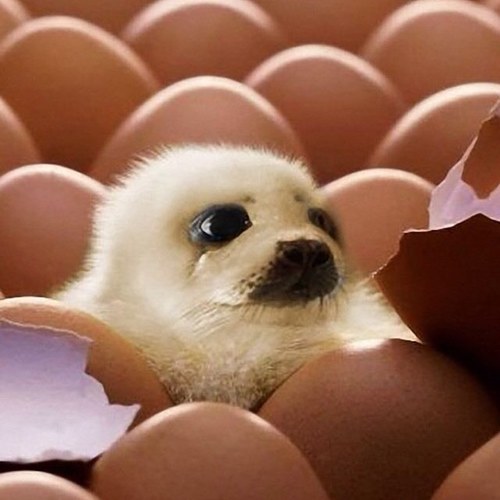 plz follow me i follow back