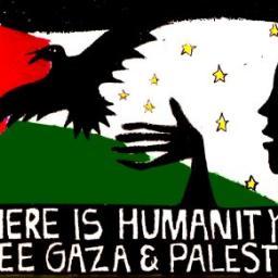 FOLLOW THIS ACCOUNT SHOW SUPPORT FOR GAZA!!! #FREEGAZA