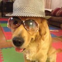 Frank Ye - @ye_frank - Twitter