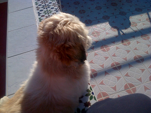 lolillamn's profile picture. 