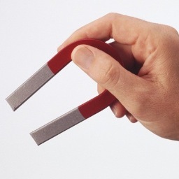 im basically here to deliver the important facts: whether things are magnets or not