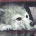 chyiz (@chyiz) Twitter profile photo chyiz (@chyiz) Twitter profile photo