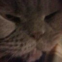 Claire Wiles - @ClaireWiles71 - Twitter