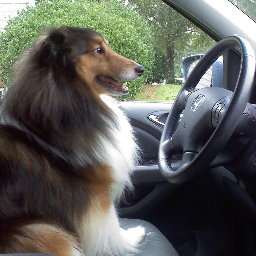 SicarriOW's profile picture. Former Blizzard employee, former Google employee, former support player for Selfless OW.

Currently working at CloudBees and wishing that I could still play OW.