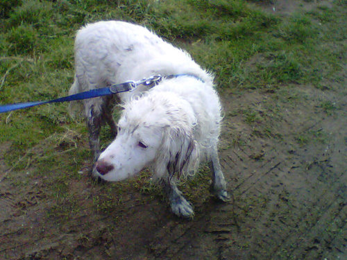 I'm 14, I have a dog, and I love my family :3 :*