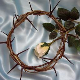 DIOSDEPACTOS7's profile picture. EVANGELIZAR!!!