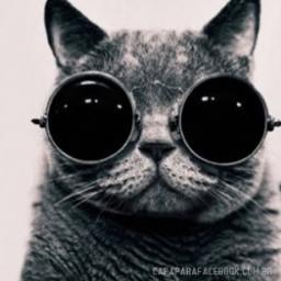 TtPapo Profile Picture