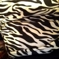 Wendy Kirby (@zebrawendy) 's Twitter Profile