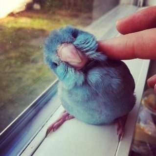 Retwit_teador's profile picture. Doy RT  para que tengas mas seguidores.