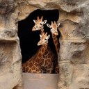 Fran Velasquez - @elchanfjv - Twitter