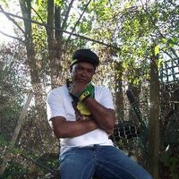 Robert O Dallas (@robertodallas) 's Twitter Profile